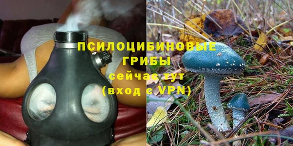 дживик Богданович