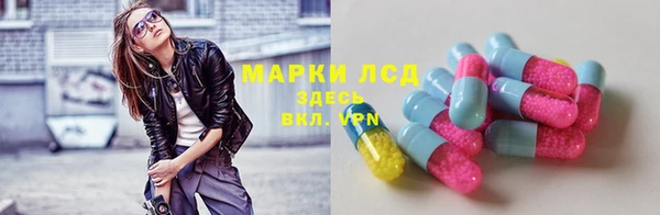 гидропоника Богородицк