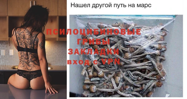 дживик Богданович