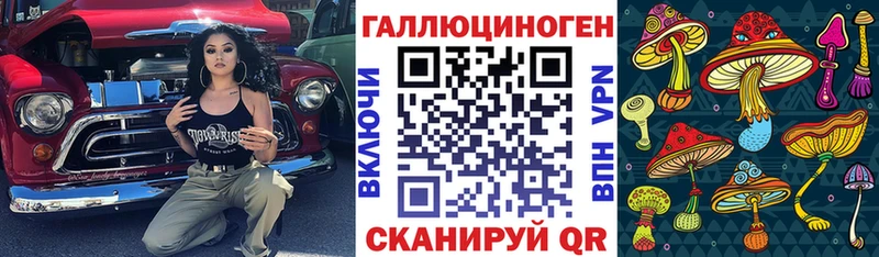 дарнет шоп Южно-Сахалинск Псилоцибиновые грибы Psilocybe